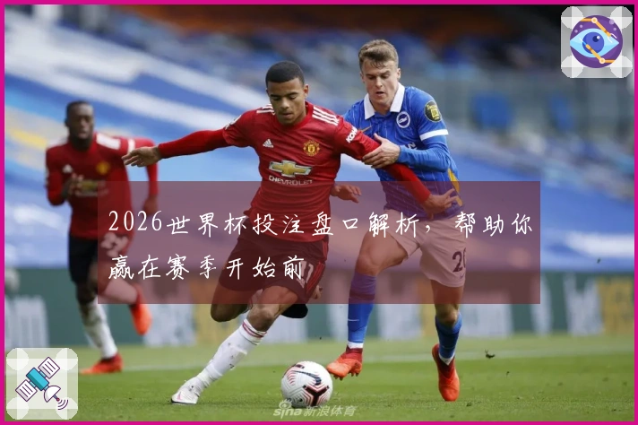 2026世界杯投注盘口解析，帮助你赢在赛季开始前
