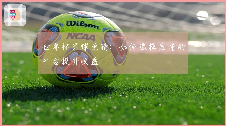 世界杯买球竞猜：如何选择靠谱的平台提升收益