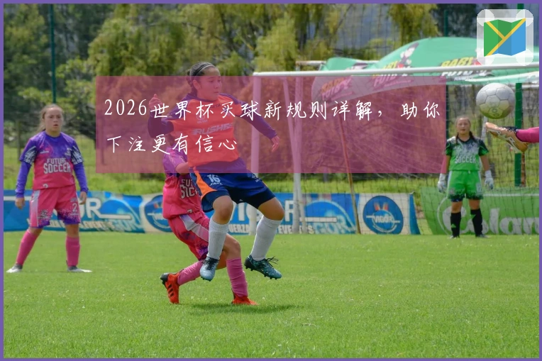 2026世界杯买球新规则详解，助你下注更有信心