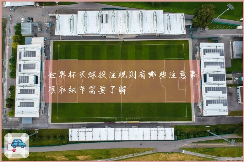 世界杯买球投注规则有哪些注意事项和细节需要了解