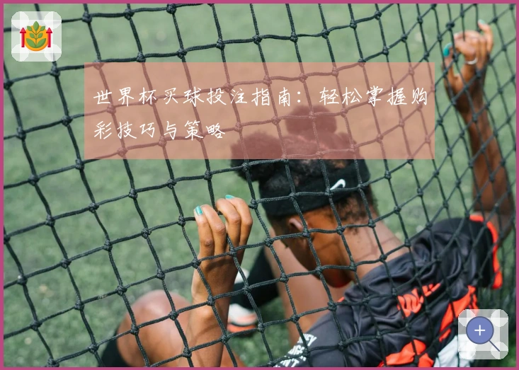 世界杯买球投注指南：轻松掌握购彩技巧与策略