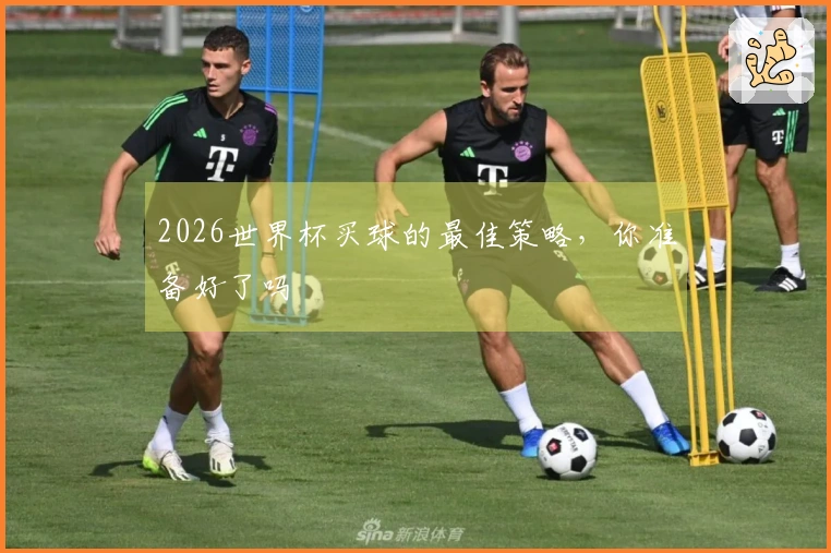 2026世界杯买球的最佳策略，你准备好了吗