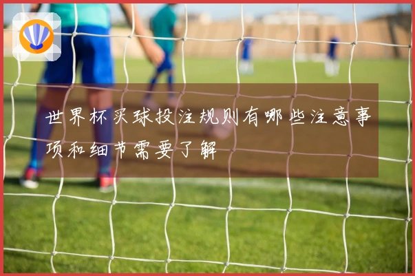 世界杯买球投注规则有哪些注意事项和细节需要了解