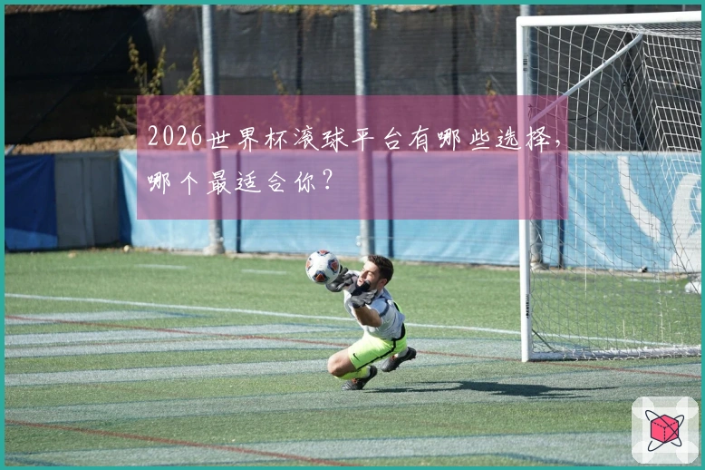 2026世界杯滚球平台有哪些选择，哪个最适合你？